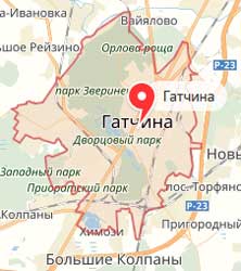 Карта: Гатчина