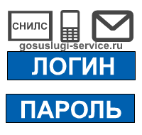 Вход в Госуслуги